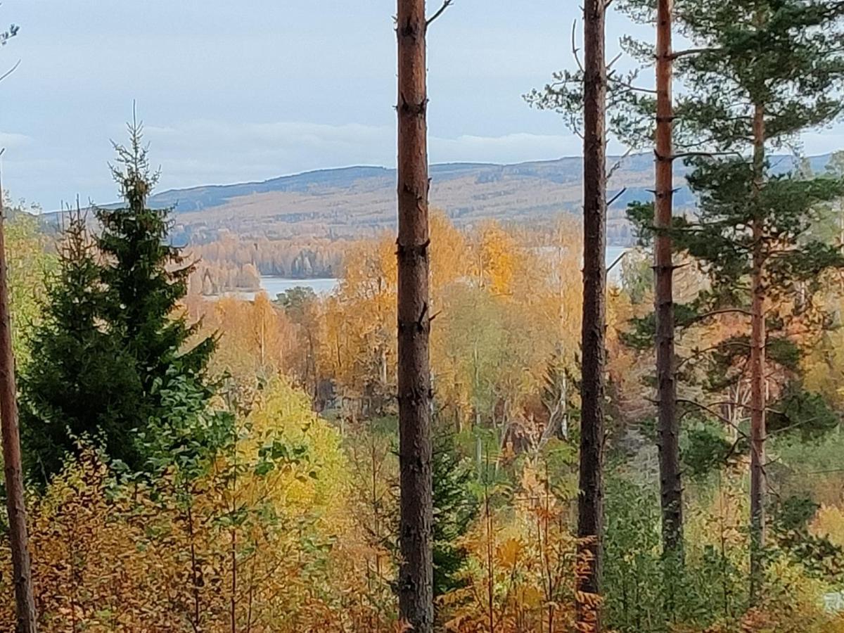 Buskbacken Logi Vila Bollnäs Exterior foto
